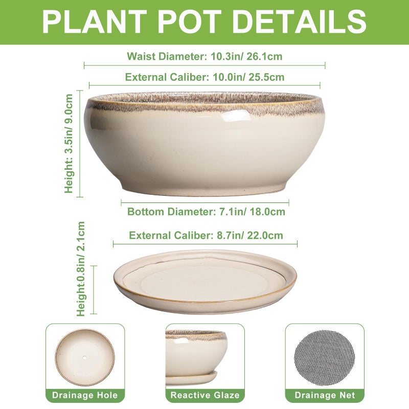 SQOWL Bonsai Tree Pots - 10 Inch Ceramic Succulent Pots, Round Shallow Planter with Drainage Hole and Tray, Bowl Planter for Indoor Outdoor Plants Flowers, Room Decor, Garden Gifts, Beige - Image 2
