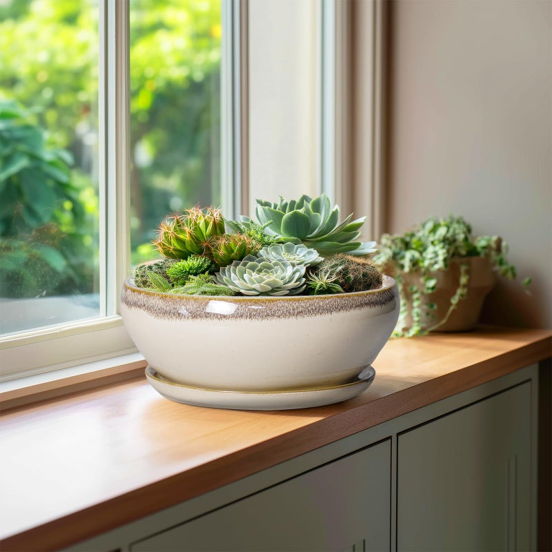SQOWL Bonsai Tree Pots - 10 Inch Ceramic Succulent Pots, Round Shallow Planter with Drainage Hole and Tray, Bowl Planter for Indoor Outdoor Plants Flowers, Room Decor, Garden Gifts, Beige - Image 4