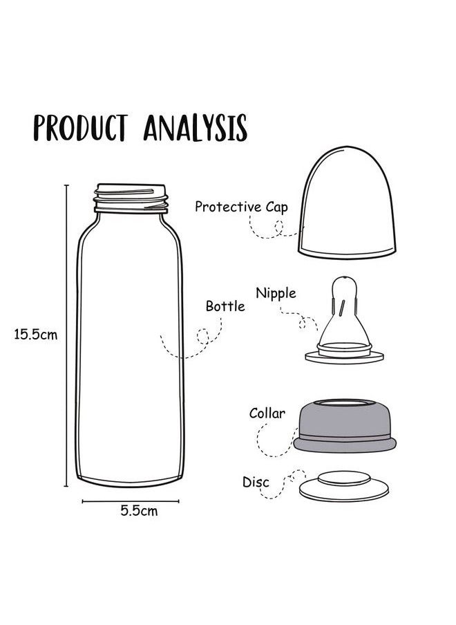 BuddsBuddy Zoe Bpa Free Regular Neck Baby Feeding Bottle (Green 250 Ml)  - Image 5