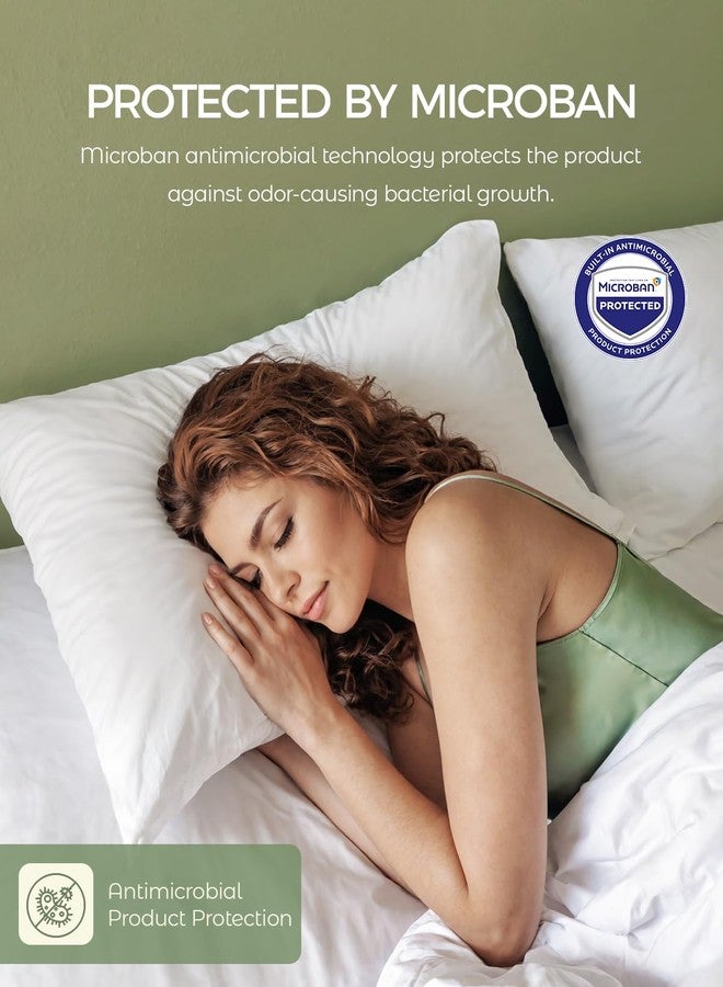 FAUNNA 100% Cotton Pillow Protectors, Bed Bug Proof, Hypoallergenic, Featuring Antimicrobial Product Protection for Enhanced Freshness, Premium Breathable Zippered Protectors - Image 4