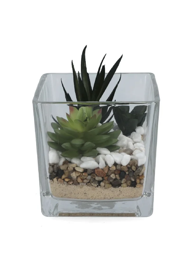 atmosphera Decorative Artificial Succulent Combo Plant with Transparent Pot Multicolor 12 x 12 x 15 cm 181504
