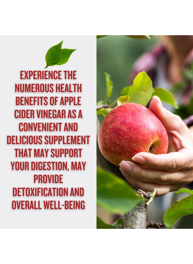 healblend فيتامينات هيلبليند من خل التفاح على شكل جومي 1000 ملغ لكل حصة - 60 حبة - فيتامين ب12، رمان وعصير الشمندر، خالي من الجيلاتين، خالي من الغلوتين، نباتي وغير معدل وراثيًا - Image 4