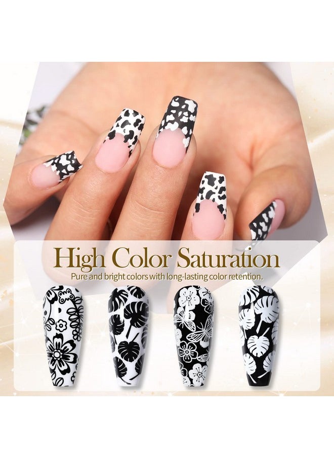بورن بريتي طلاء أظافر Born Pretty Nail Art Stamping باللون الأبيض والأسود مع مجموعة طلاء أظافر Image Stamp من طلاء الأظافر المطبوع، زجاجتان  - Image 3