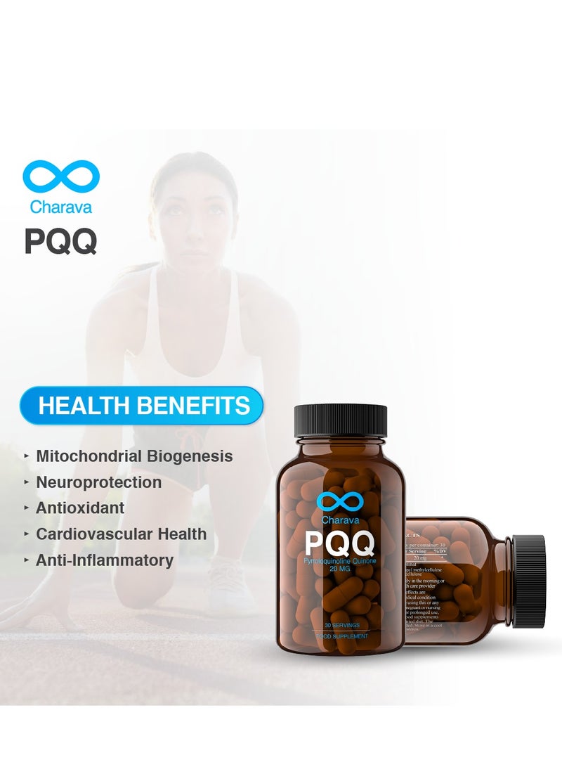 شارافا PQQ 20 ملغ | 30 جرعة | 99%+ نقاء وقابلية امتصاص عالية | مكمل بيرولوكينولين كوينون | 30 كبسولة - Image 4