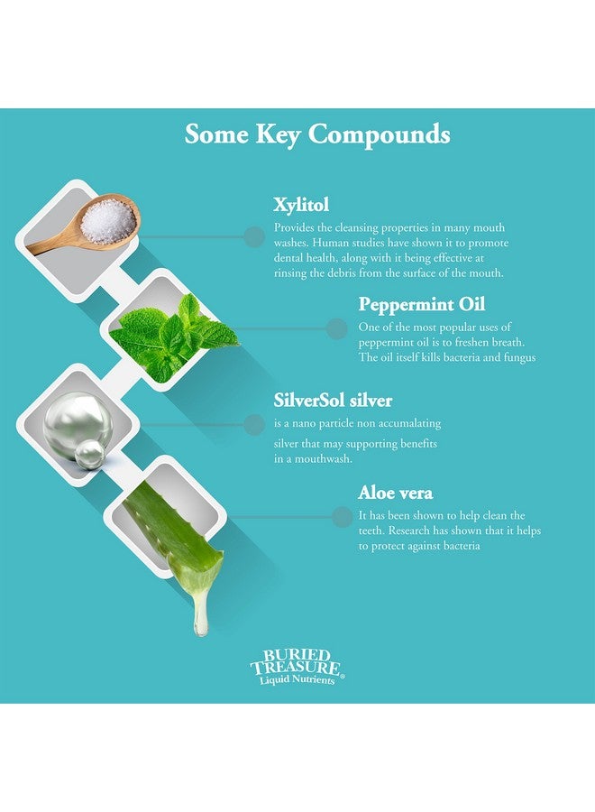 Buried Treasure Xyli Swish - All Natural Formulated Nano Silver, Xylitol & Aloe Mouthwash - Alcohol And Fluoride Free - Oral Rinse To Fight Bad Breath & Dry Mouth - Peppermint Flavor - 16Oz.  - Image 2