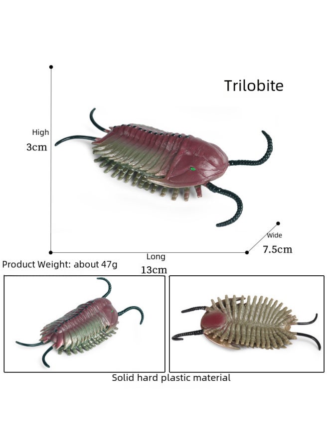 Simulation Of Marine Seabed Animal Model Ornaments Children's Cognitive Toys Cambrian Ancient Creatures Shrimp Nautilus-Color:Ocean 50-piece Set + Delivery Storage Box - Image 3