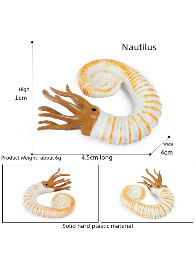 Simulation Of Marine Seabed Animal Model Ornaments Children's Cognitive Toys Cambrian Ancient Creatures Shrimp Nautilus-Color:Ocean 50-piece Set + Delivery Storage Box - Image 4
