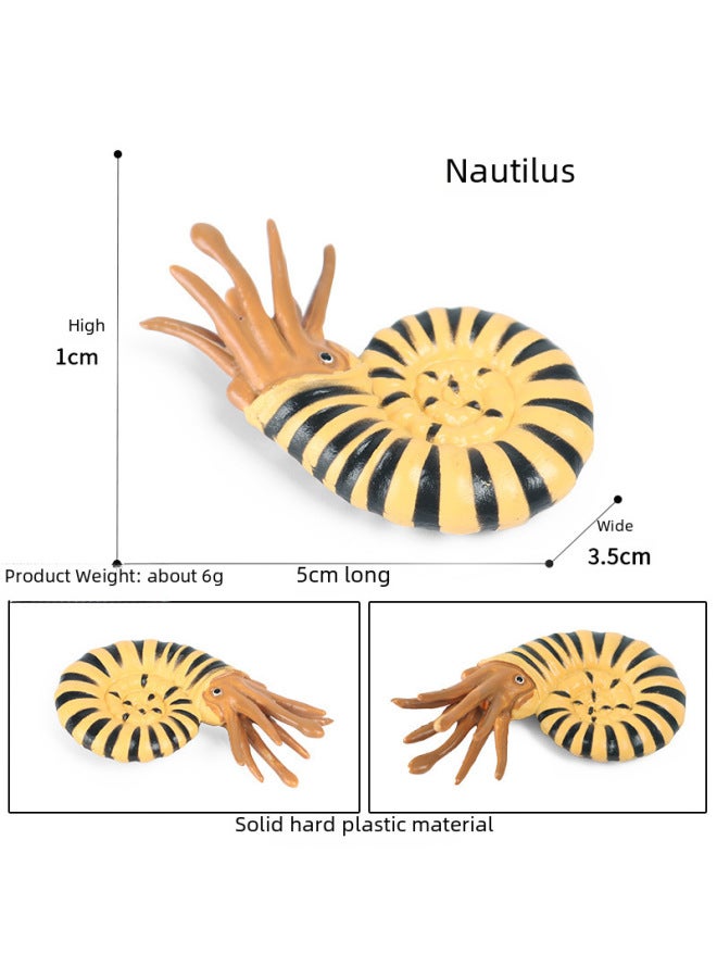 Simulation Of Marine Seabed Animal Model Ornaments Children's Cognitive Toys Cambrian Ancient Creatures Shrimp Nautilus-Color:Ocean 50-piece Set + Delivery Storage Box - Image 5