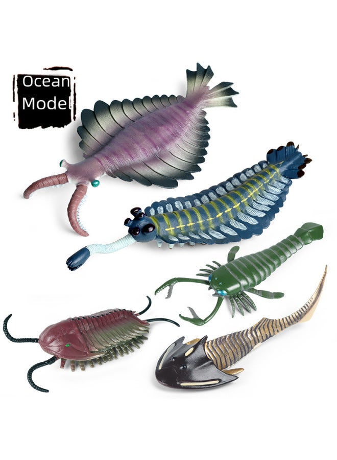 Simulation Of Marine Seabed Animal Model Ornaments Children's Cognitive Toys Cambrian Ancient Creatures Shrimp Nautilus-Color:Ocean 50-piece Set + Delivery Storage Box - Image 2