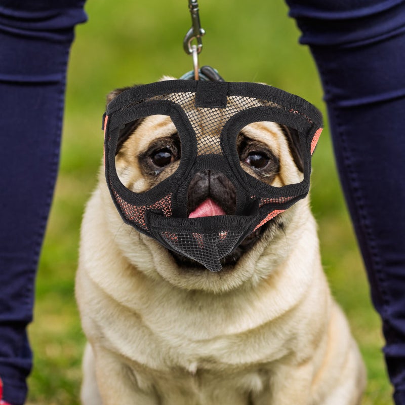 Short Snout Dog Muzzle Breathable Mesh Dog Muzzle Dog For Barking Biting - Image 3
