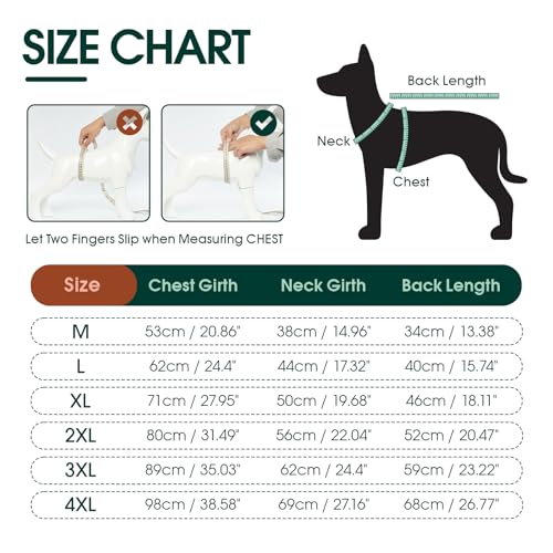Kuoser Dog Recovery Suit for Back LegsSoft Dog Surgery Suit with Dog Pants to Stop LickingDogs Recovery Sleeve Elbow Protector Pet Surgical Onesie for Abdominal Wounds Dogs Cone AlternativeGreen M - Image 3
