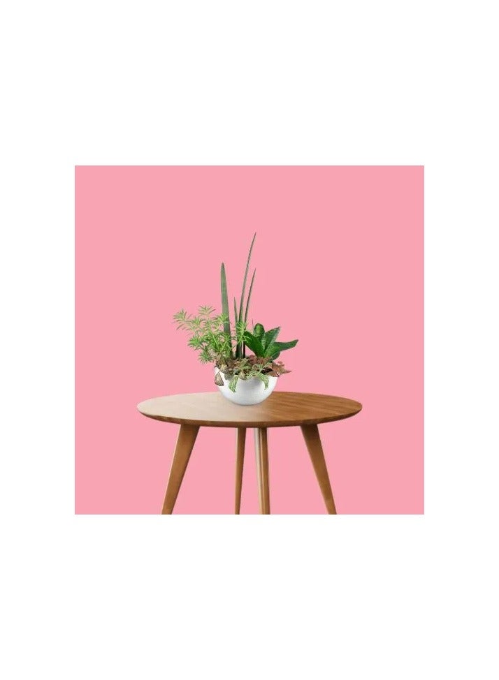 PROMAGE Pink Paper Background PM PB143 – 2.72m x 11m Seamless Photography Backdrop, Non-Reflective, Wrinkle-Resistant Roll - Image 2