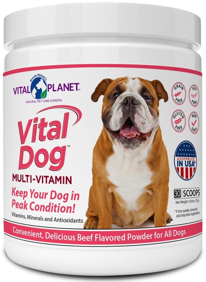 Vital Planet - Vital Dog Multi Vitamin Powder Supplement for Everyday Health with Vitamins, Minerals and Antioxidants for Dogs - Beef Flavored Powder, 30 Servings, 75 Grams - Image 1
