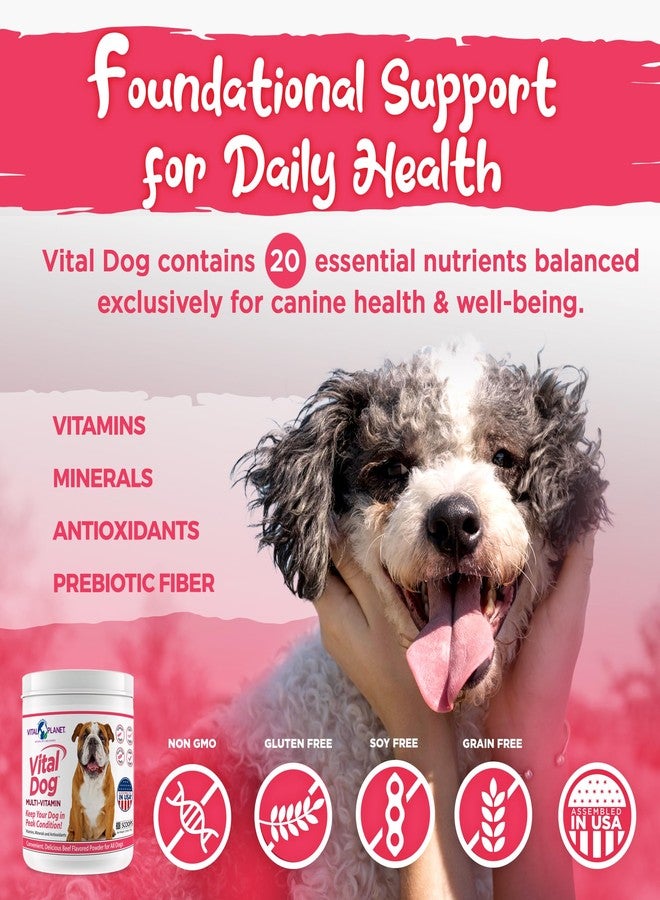 Vital Planet - Vital Dog Multi Vitamin Powder Supplement for Everyday Health with Vitamins, Minerals and Antioxidants for Dogs - Beef Flavored Powder, 30 Servings, 75 Grams - Image 4