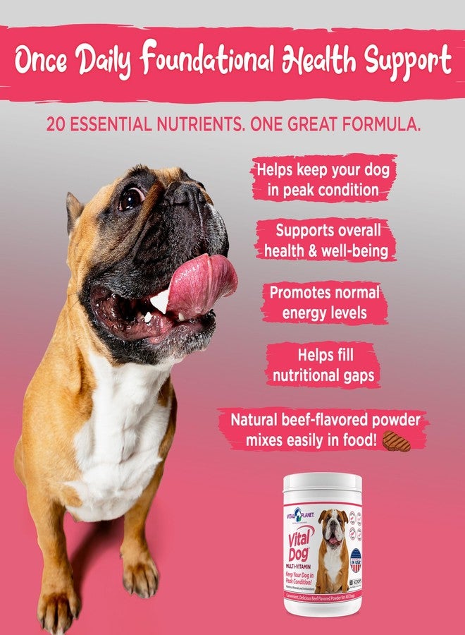Vital Planet - Vital Dog Multi Vitamin Powder Supplement for Everyday Health with Vitamins, Minerals and Antioxidants for Dogs - Beef Flavored Powder, 30 Servings, 75 Grams - Image 3