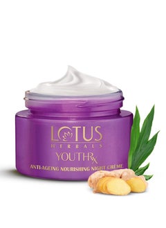 LOTUS HERBALS YouthRx Anti Ageing Nourishing Night Cream for women 50g  - Image 1