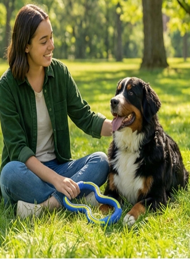 Outward Hound FlyFetch Tug Dog Toy, Durable Rubber, Fetch & Tug-o-War, All Breeds, 10.9" - Image 5