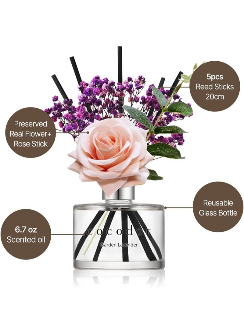 كوكودور موزّع عطر أعواد زهرة الورد من كوكودور / 6.7 أونصة / عبوة واحدة / معطّر منزلي بزيت عطري أساسي بأعواد، مناسب لغرفة النوم والحمّام وديكور المنزل (قطن نقي) - Image 4