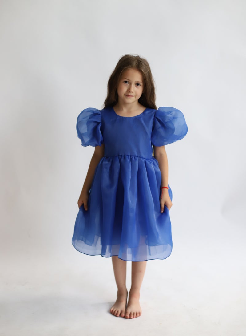 D'Daniela Organza Puff Dress - Image 1