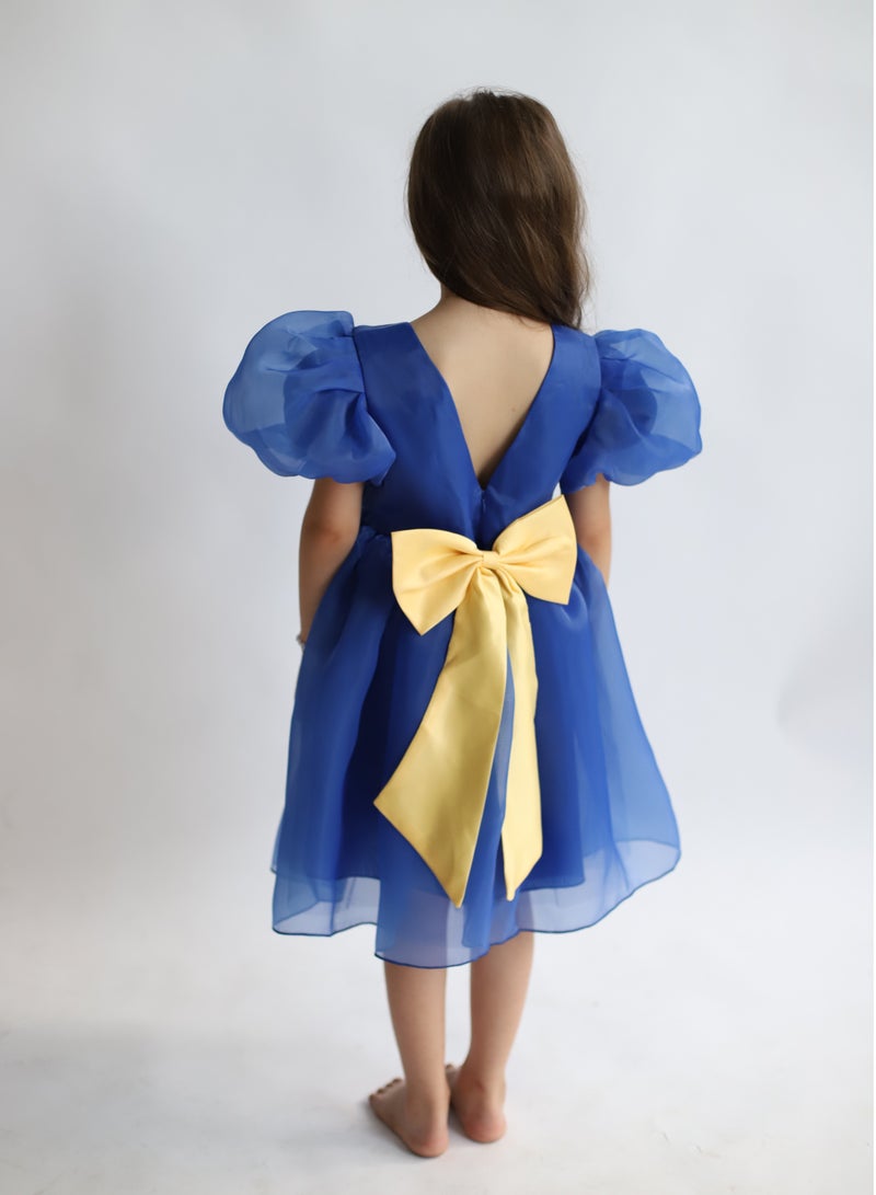 D'Daniela Organza Puff Dress - Image 4