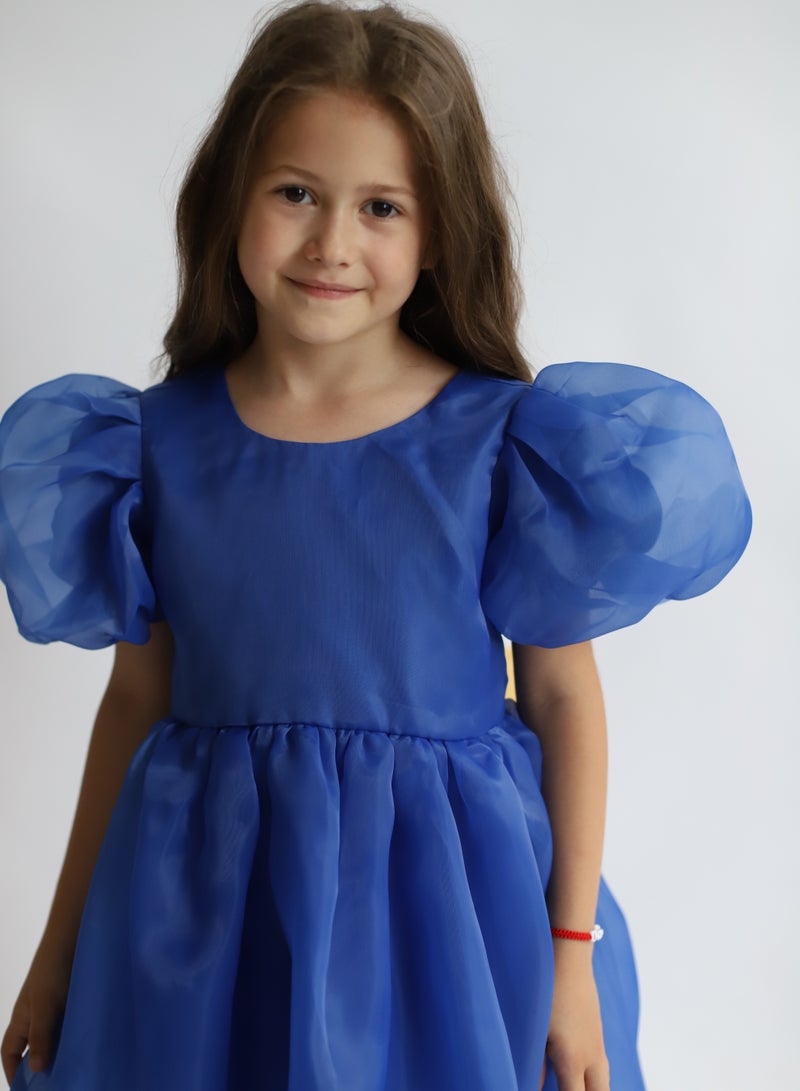 D'Daniela Organza Puff Dress - Image 3