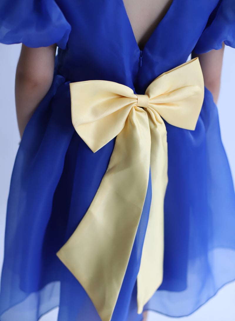 D'Daniela Organza Puff Dress - Image 5