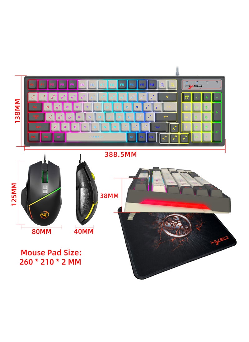 96 Key RGB Wired Gaming Keyboard and Wired Gaming Mouse Set - pzsku/ZEA2B60EE9A20E68AFCCFZ/45/_/1732674346/831aef22-6688-4254-8bff-641f4b53f2ad