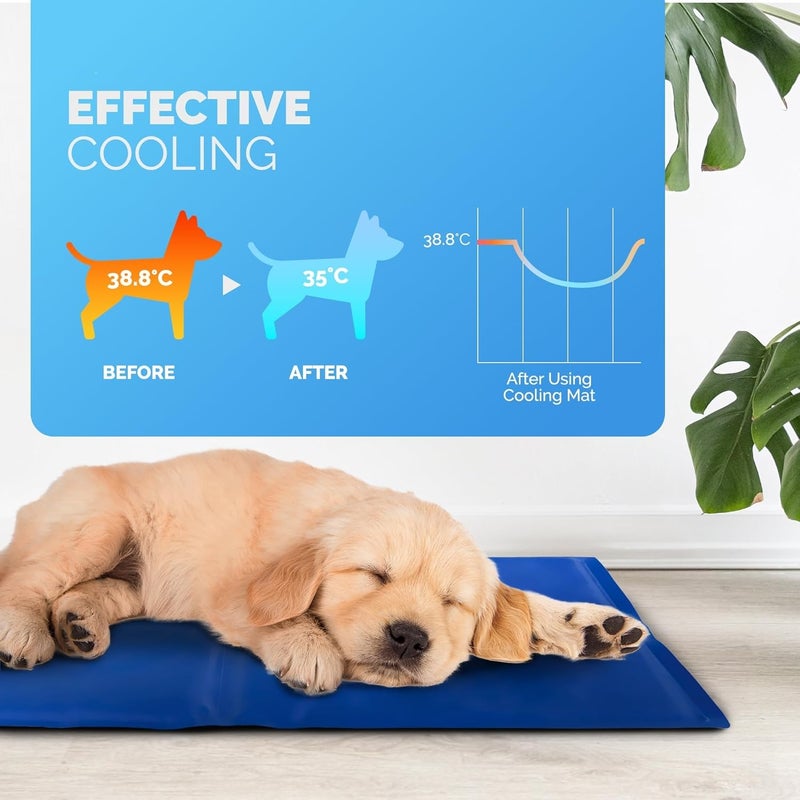Mumoobear Mumoo Bear Pet Cooling Mats – Self Cooling Mat Bed for Dogs, Cats to Prevent Overheating During Rest & Sleep – Heat Absorbing & Waterproof Gel Pillow Pad to Keep Ice Cool in Summer – Plain (60 x 45cm) - Image 3