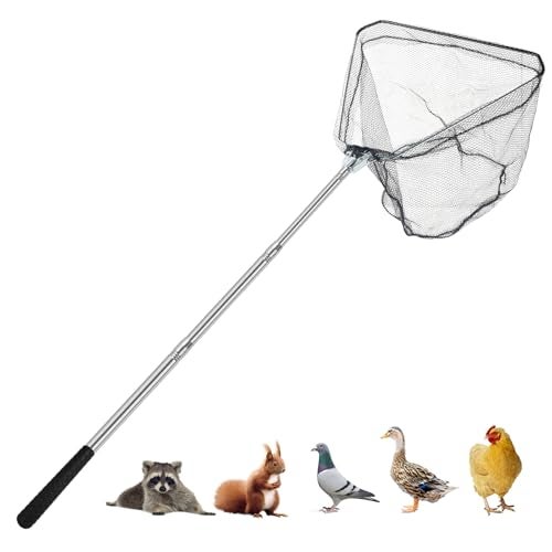 Smarkey Chicken Catching Net Animal net with Extendable 46 Inch Stainless Steel Pole Chicken Nets for Chickens Ducks Birds Cats DogsFishnet Chicken Catcher for Poultry Supplies - Image 1