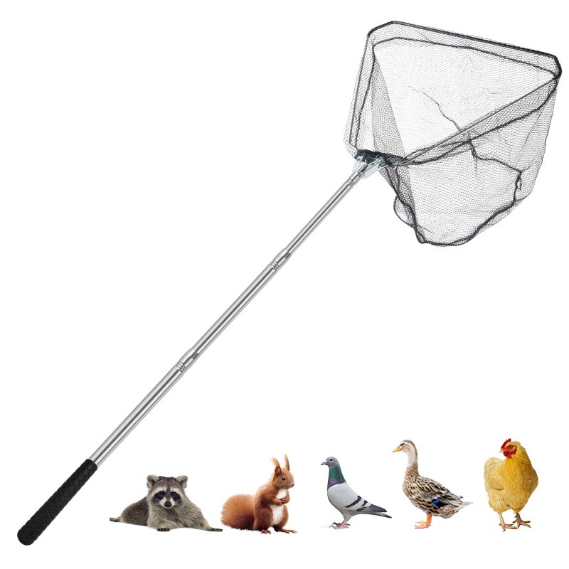 Smarkey Chicken Catching Net Animal net with Extendable 46 Inch Stainless Steel Pole Chicken Nets for Chickens Ducks Birds Cats DogsFishnet Chicken Catcher for Poultry Supplies - Image 2