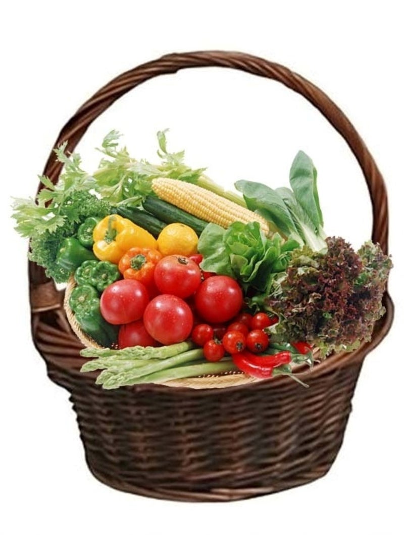 Huitich - Brown Vegetable and Fruit Storage Baskets Medium - Image 1