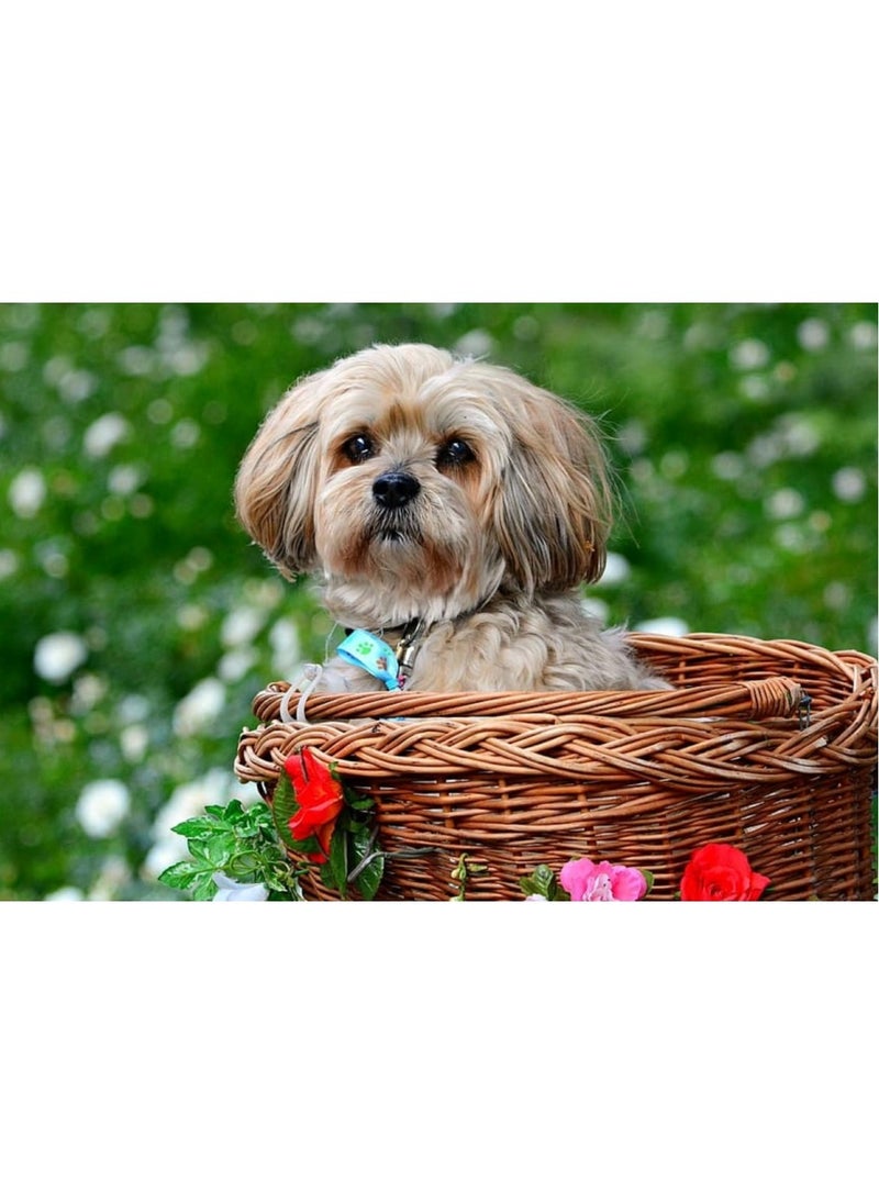 Huitich - Brown Vegetable and Fruit Storage Baskets Medium - Image 1