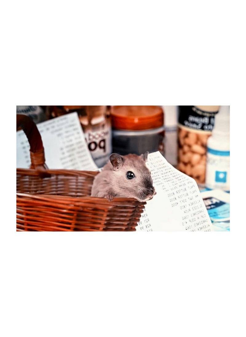 Huitich - Brown Vegetable and Fruit Storage Baskets Medium - Image 1