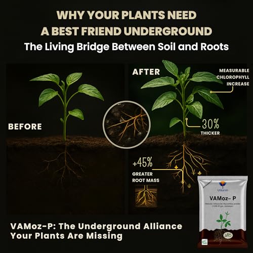 Utkarsh Mycorrhiza with 1200 IP/gm Bio Fertilizers for Healthy Plants, Vigorous Stem Girth, Enhances Nutrient Absorption, Water Uptake & Soil Aeration | VAMoz-P (900 gm; Pack of 1) - Image 4