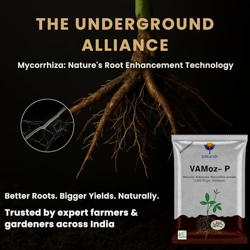 Utkarsh Mycorrhiza with 1200 IP/gm Bio Fertilizers for Healthy Plants, Vigorous Stem Girth, Enhances Nutrient Absorption, Water Uptake & Soil Aeration | VAMoz-P (900 gm; Pack of 1) - Image 2