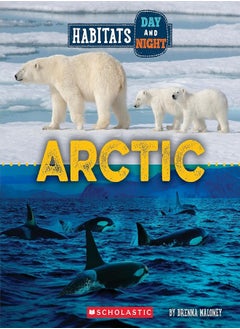 Arctic 