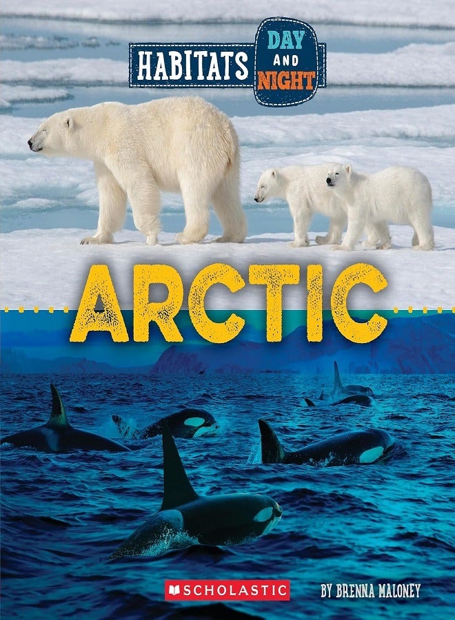 Arctic