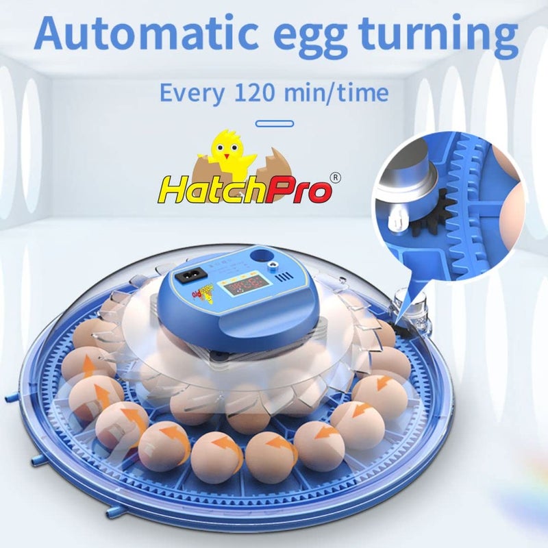 HatchPro Plastic 8 Eggs Automatic Incubator | Egg Hatching Machine (Blue) - Image 3
