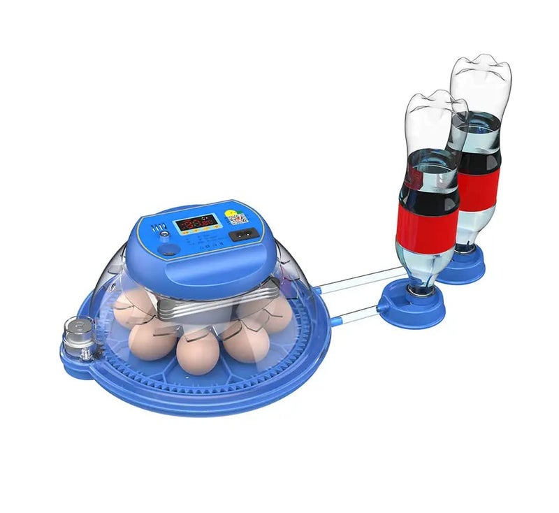 HatchPro Plastic 8 Eggs Automatic Incubator | Egg Hatching Machine (Blue) - Image 4