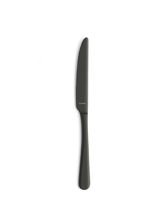 Amefa Austin Table Knife Set of 12 – Black Matt Finish Stainless Steel 18/10 Dinner Knives for Everyday Dining and Formal Table Settings, Contemporary European Design with Elegant Lines, Balanced Weight and Comfortable Grip, Durable Rust-Resistant Cutlery Knife for Home, Restaurants, Hotels and Catering Use, Dishwasher Safe Black PVD Matt Coating, Modern Minimalist Flatware Knife for Kitchen, Dining Table, Events and Professional Hospitality Presentation in Saudi Arabia - Image 1