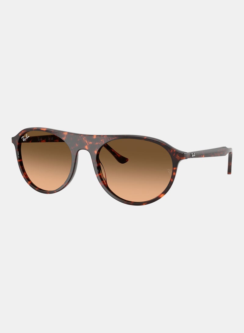 راي بان Unisex Full-rimed Aviator Sunglasses 2215, 56, 1429, 3B - Image 2