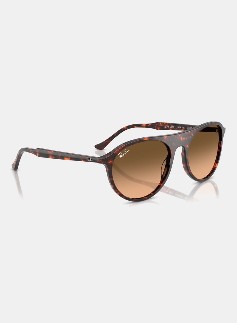 راي بان Unisex Full-rimed Aviator Sunglasses 2215, 56, 1429, 3B - Image 3