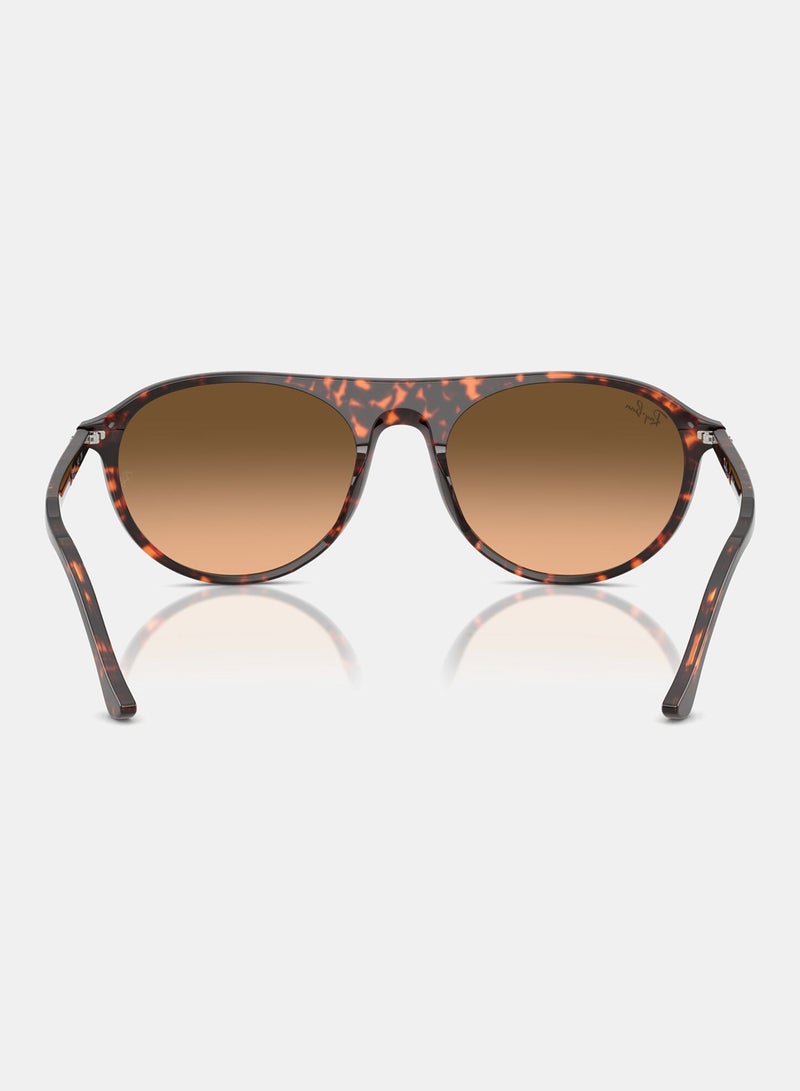راي بان Unisex Full-rimed Aviator Sunglasses 2215, 56, 1429, 3B - Image 4