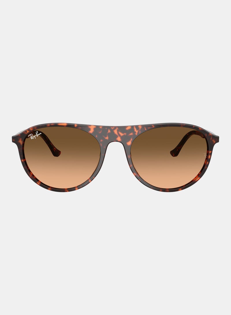 راي بان Unisex Full-rimed Aviator Sunglasses 2215, 56, 1429, 3B - Image 1