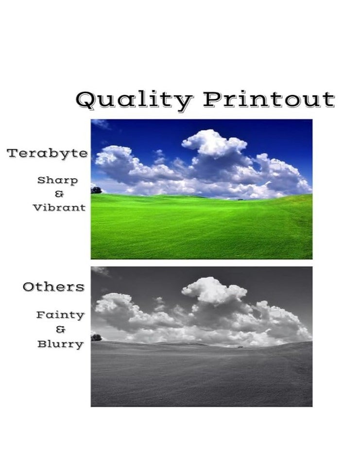 تيرابايت خراطيش حبر متوافقة 410A بديلة لـ 410A CF410A CF411A CF412A CF413A لطابعات Color LaserJet Pro MFP M477fnw M477fdn M477fdw M452dn M452nw M452dw (1 أسود/1 سماوي/1 أرجواني/1 أصفر)  - Image 2