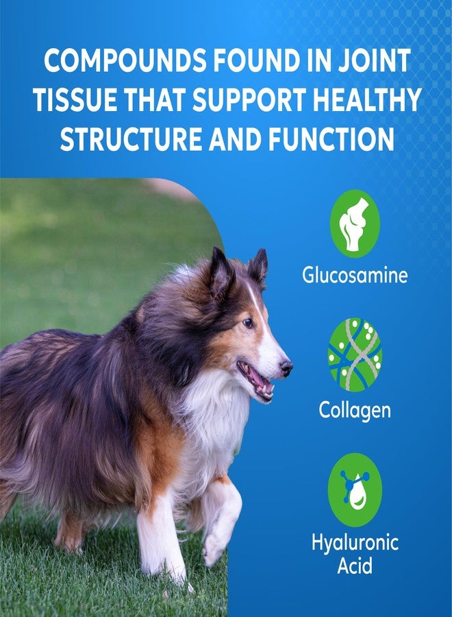 Nutramax Laboratories Cosequin Elements Dog Joint Health Supplement with Glucosamine, Green Lipped Mussel, Eggshell Membrane, & Hyaluronic Acid, 75 Tasty Chewable Tablets for Dogs - Image 3