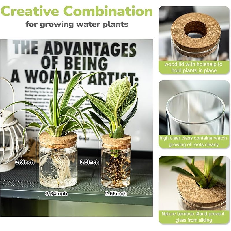 CHPINDAM 6.5 * 10 vase and 8.5 * 10 vase，Plants Propagation Stations（2pcs） - Image 2