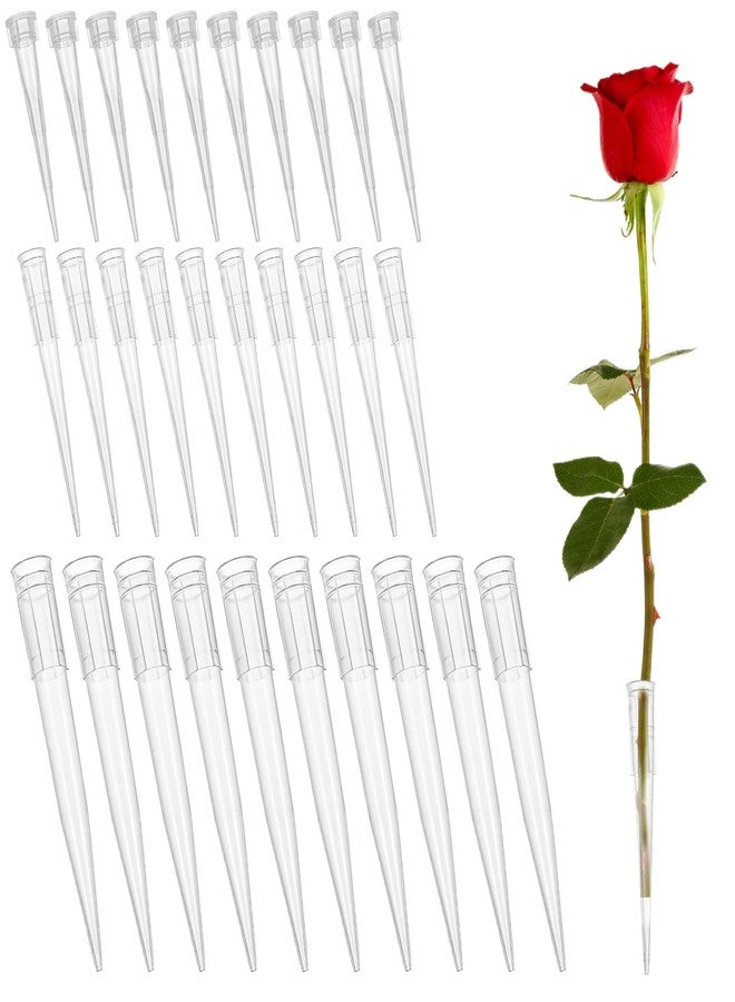 Apausvcm 30Pcs Plastic Flower Stems Tube Holder, Transparent Flower Posy Picks Pointed End Floral Tubes for DIY Cake Decoration Flowers Arrangement Crafts - Image 1
