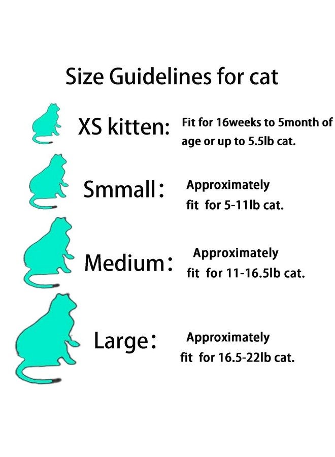 يمكول أغطية أظافر القطط من YMCCOOL، 100 قطعة، أغطية أظافر شفافة للقطط، أغطية أظافر القطط الصغيرة، أطراف للحيوانات الأليفة مع مواد لاصقة وأدوات تطبيق متوسطة الحجم - Image 2