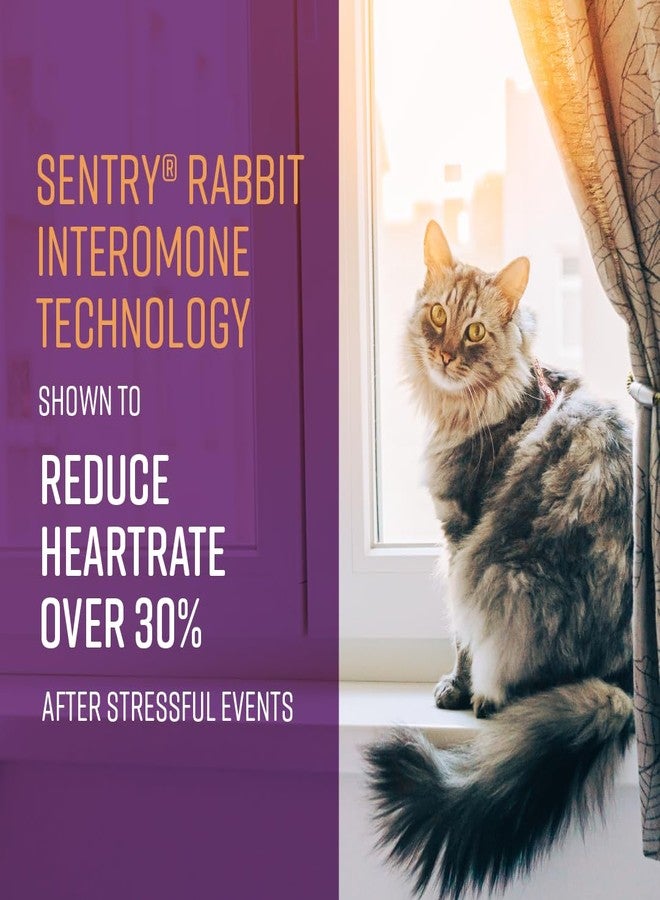 Sentry Behavior Portable Calming Diffuser Refill for Cats, Reduces Stress and Bad Behavior with Calming Phereomones, Easy-to-use Portable Design, 60 Day Release - Image 4